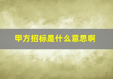 甲方招标是什么意思啊