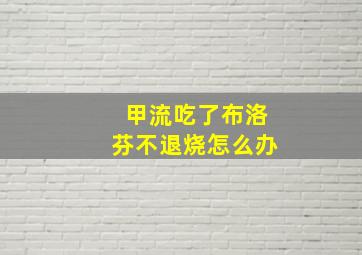 甲流吃了布洛芬不退烧怎么办