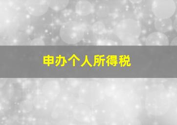 申办个人所得税