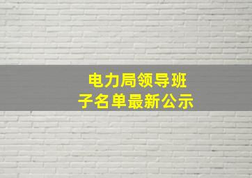 电力局领导班子名单最新公示