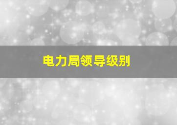 电力局领导级别