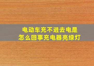 电动车充不进去电是怎么回事充电器亮绿灯