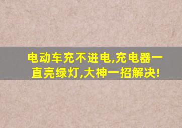 电动车充不进电,充电器一直亮绿灯,大神一招解决!