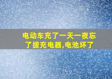 电动车充了一天一夜忘了拔充电器,电池坏了