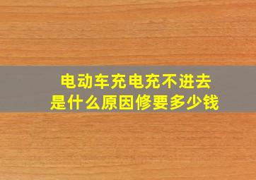 电动车充电充不进去是什么原因修要多少钱