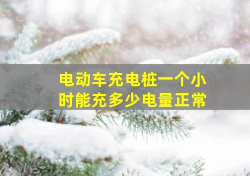 电动车充电桩一个小时能充多少电量正常