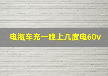 电瓶车充一晚上几度电60v