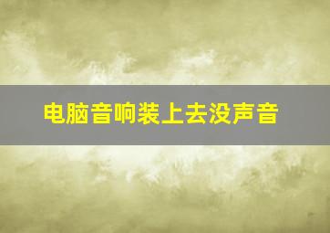 电脑音响装上去没声音