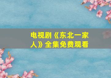 电视剧《东北一家人》全集免费观看