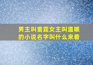 男主叫雷霆女主叫温暖的小说名字叫什么来着