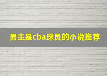 男主是cba球员的小说推荐