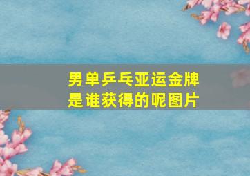 男单乒乓亚运金牌是谁获得的呢图片