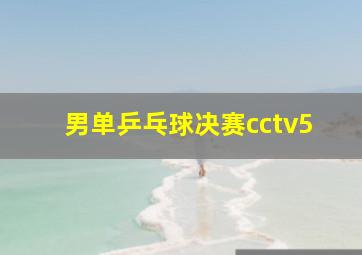 男单乒乓球决赛cctv5