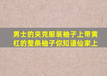 男士的夹克服装袖子上带黄杠的整条袖子你知道仙家上