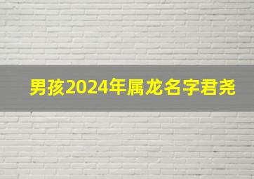 男孩2024年属龙名字君尧