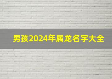 男孩2024年属龙名字大全