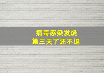 病毒感染发烧第三天了还不退