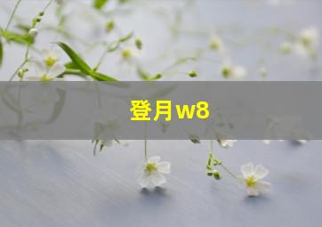 登月w8