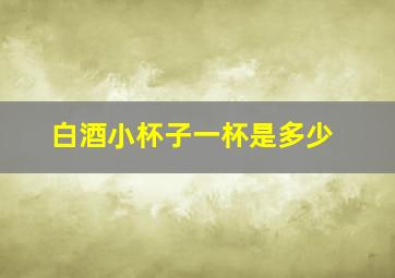 白酒小杯子一杯是多少