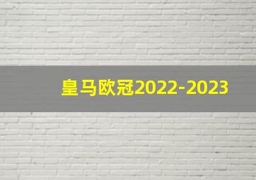 皇马欧冠2022-2023