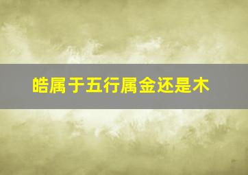 皓属于五行属金还是木