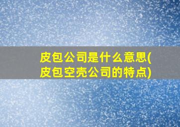 皮包公司是什么意思(皮包空壳公司的特点)