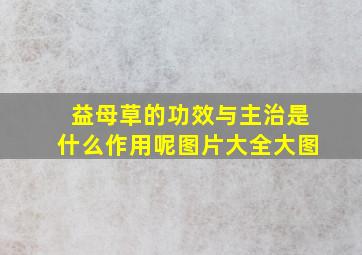 益母草的功效与主治是什么作用呢图片大全大图