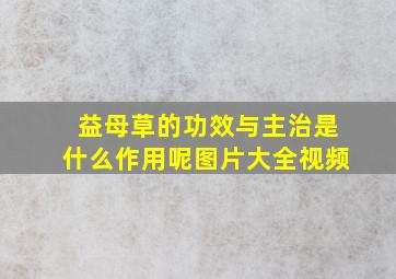 益母草的功效与主治是什么作用呢图片大全视频