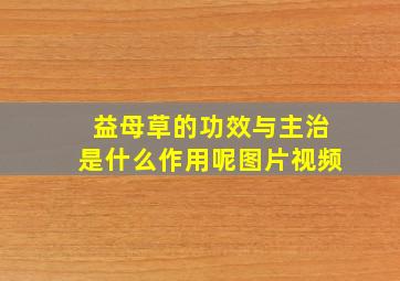 益母草的功效与主治是什么作用呢图片视频