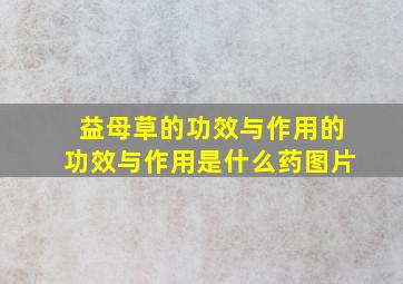 益母草的功效与作用的功效与作用是什么药图片