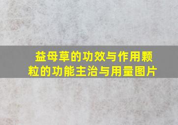 益母草的功效与作用颗粒的功能主治与用量图片