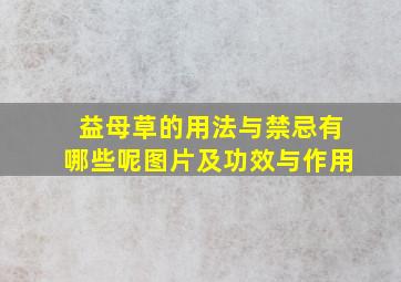 益母草的用法与禁忌有哪些呢图片及功效与作用