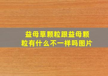 益母草颗粒跟益母颗粒有什么不一样吗图片