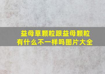 益母草颗粒跟益母颗粒有什么不一样吗图片大全