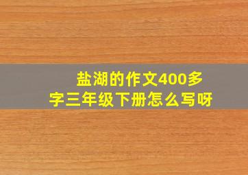 盐湖的作文400多字三年级下册怎么写呀