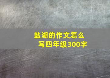 盐湖的作文怎么写四年级300字