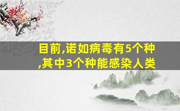 目前,诺如病毒有5个种,其中3个种能感染人类