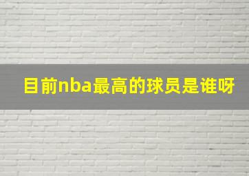 目前nba最高的球员是谁呀