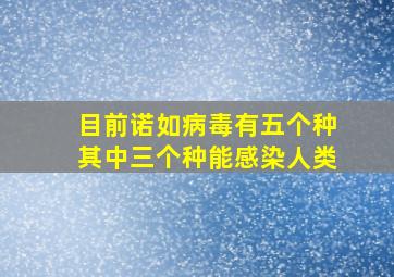 目前诺如病毒有五个种其中三个种能感染人类