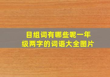 目组词有哪些呢一年级两字的词语大全图片