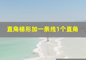 直角梯形加一条线1个直角