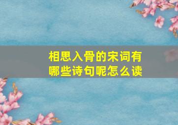 相思入骨的宋词有哪些诗句呢怎么读