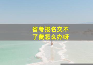 省考报名交不了费怎么办呀