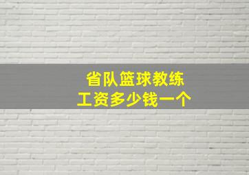 省队篮球教练工资多少钱一个