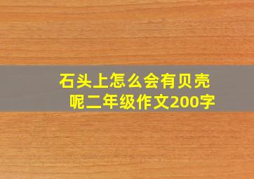 石头上怎么会有贝壳呢二年级作文200字