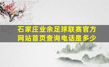 石家庄业余足球联赛官方网站首页查询电话是多少