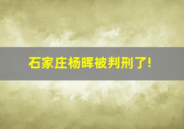 石家庄杨晖被判刑了!