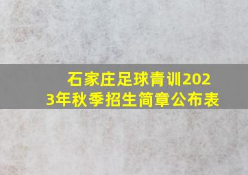 石家庄足球青训2023年秋季招生简章公布表