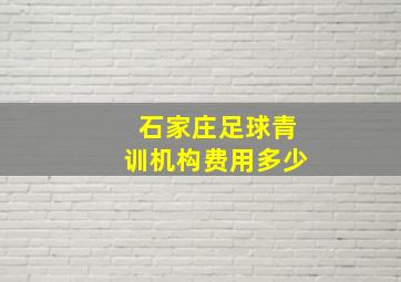 石家庄足球青训机构费用多少