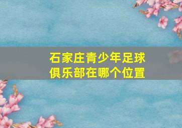 石家庄青少年足球俱乐部在哪个位置